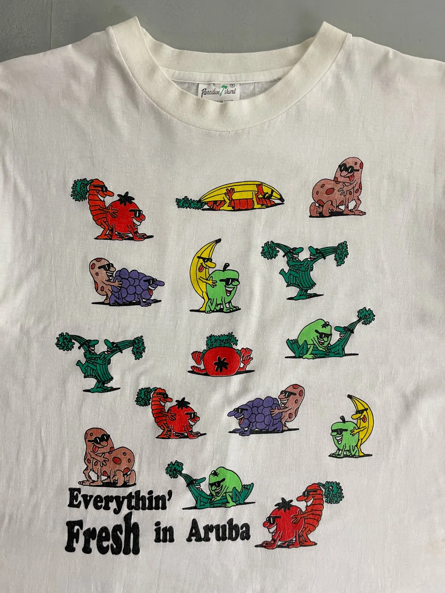 1990's Everything Fresh In Aruba Tee [M/L]