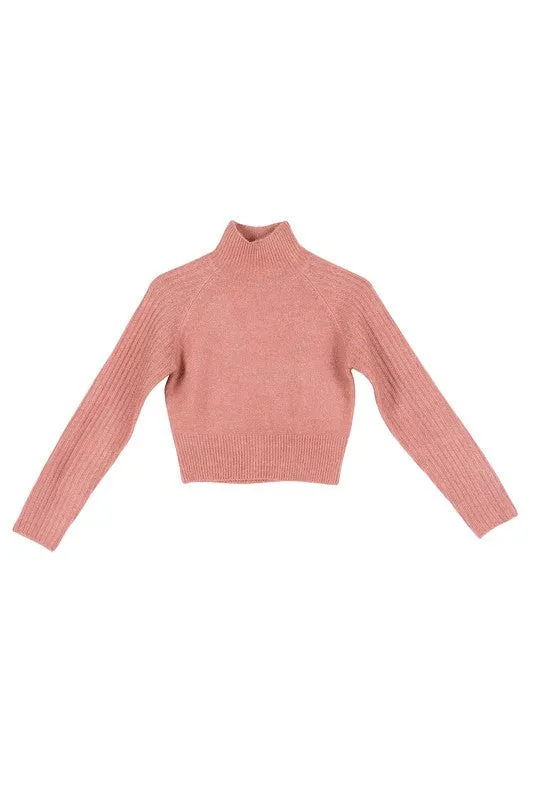 Cropped Mock Neck Ribbed Sweater (Options)